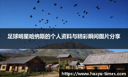 足球明星哈纳斯的个人资料与精彩瞬间图片分享